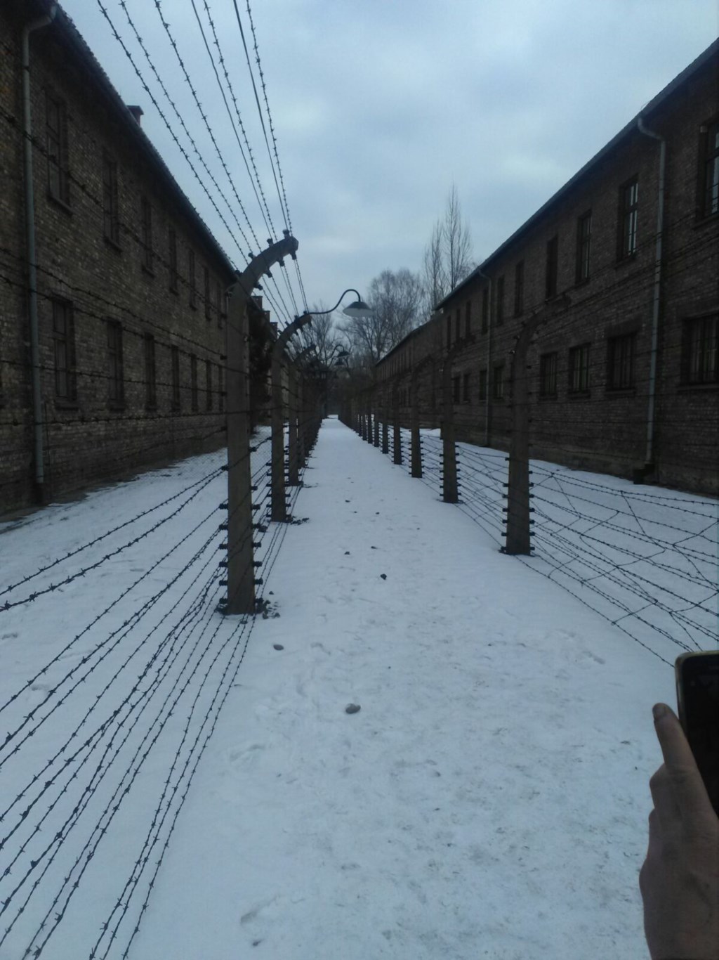 POLONIA campo di concentramento Auschwitz